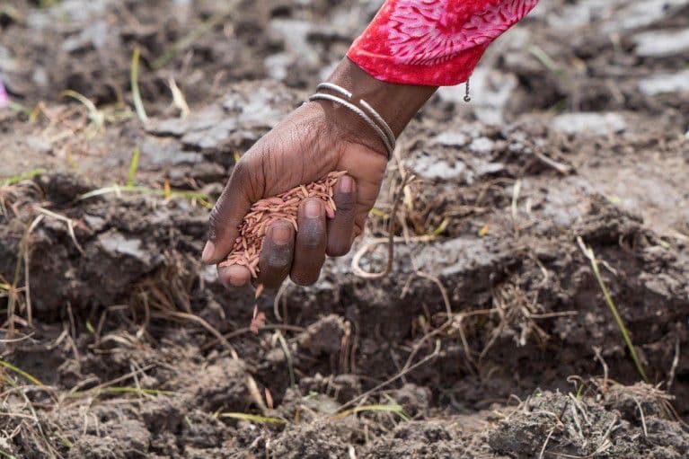 Catalyst for community-driven sustainable development in Africa