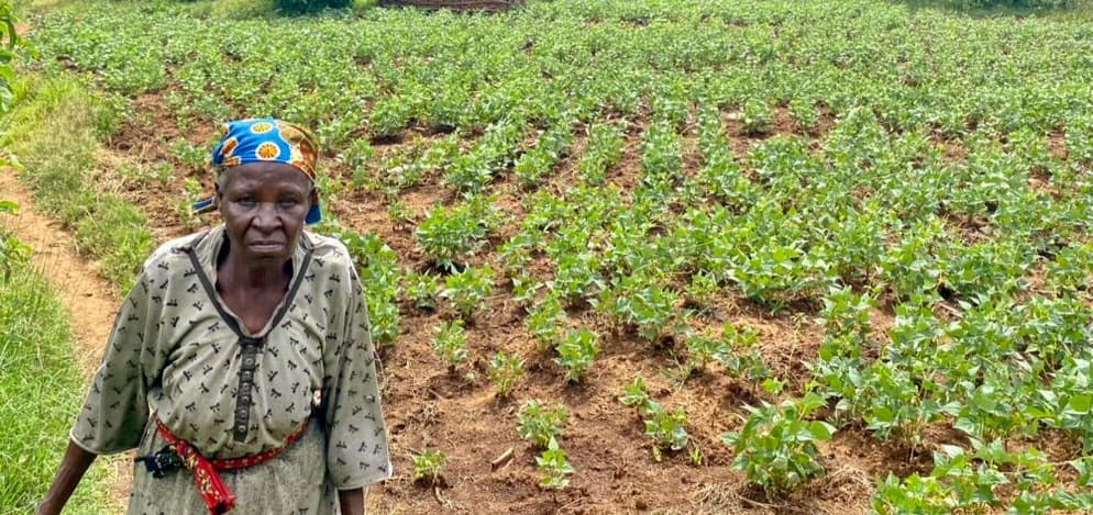 A US non-profit catalyzing rural Africa