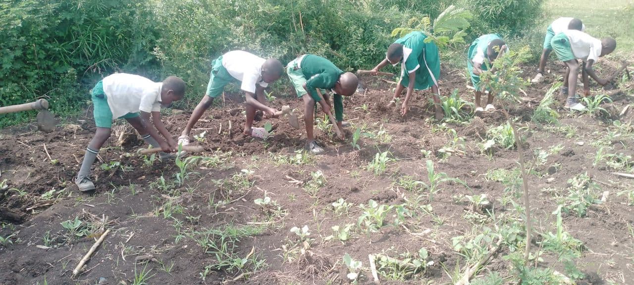 Pupils preparing a school garden plot