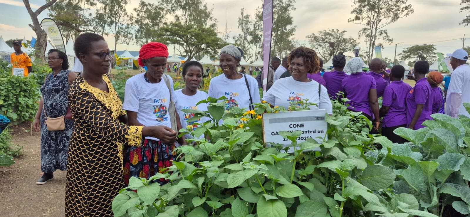 World Food Day activities