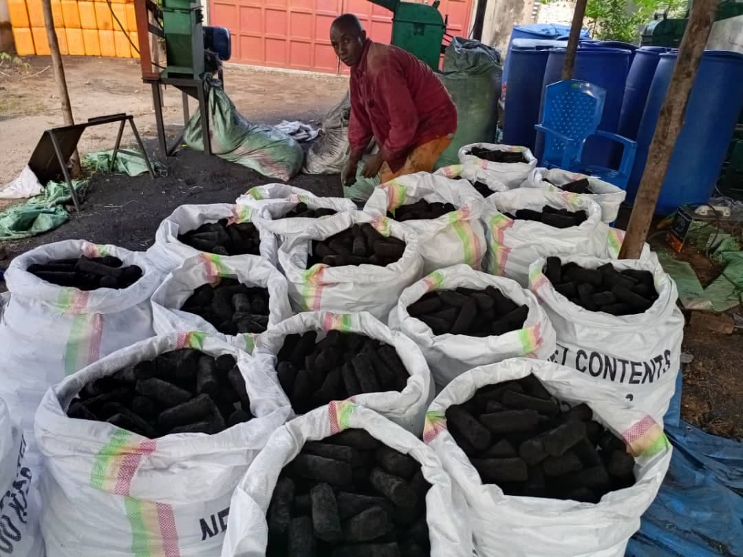 Finished briquettes drying
