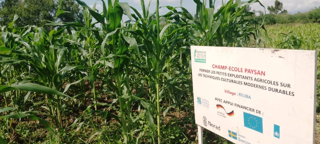 Farmers learning in the field