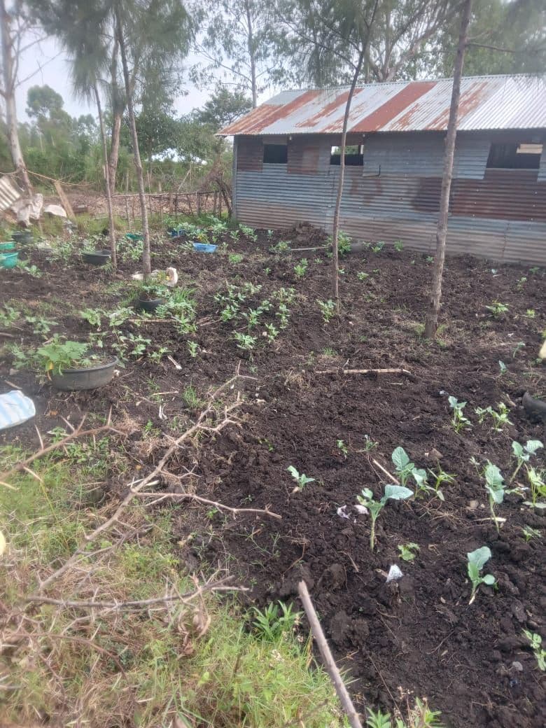 Community garden beds in Kendu Bay