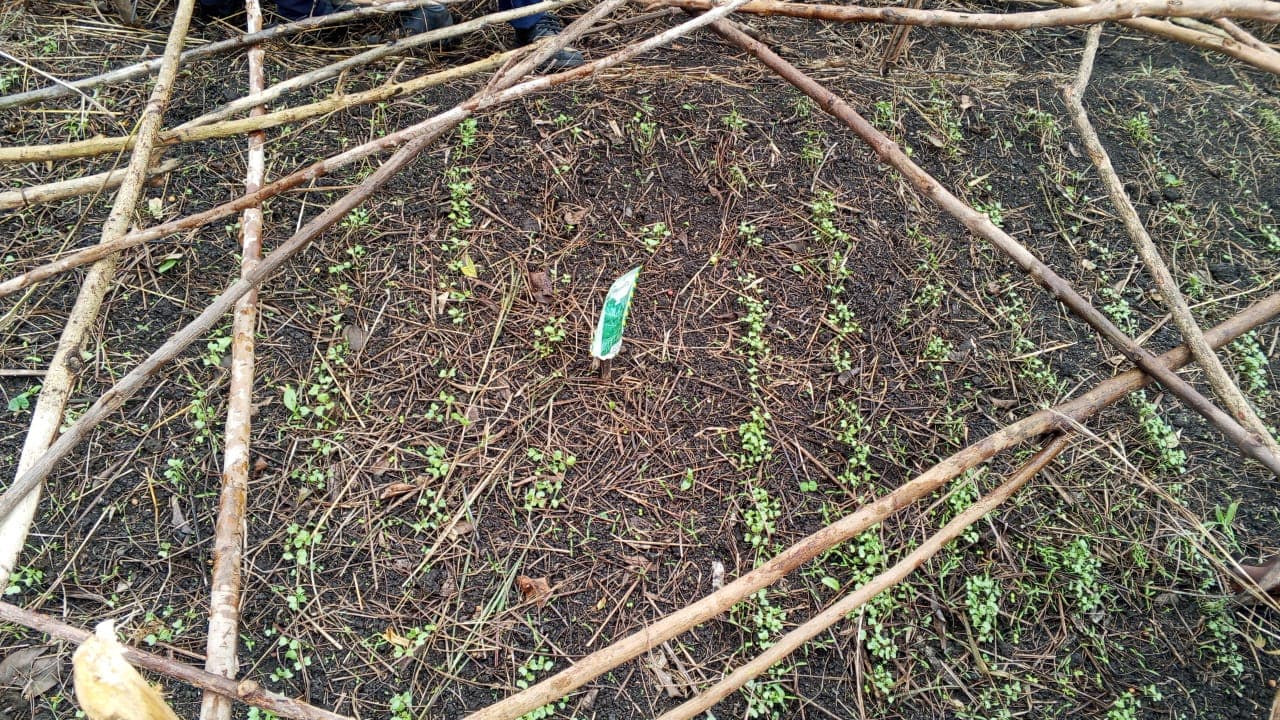 Pupils working in the school garden