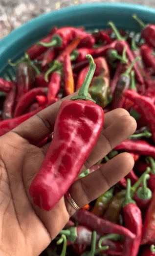 Farm produce from Maripha Farms
