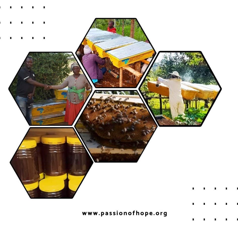 Jiimarishe Honey Pilot — Gilgil